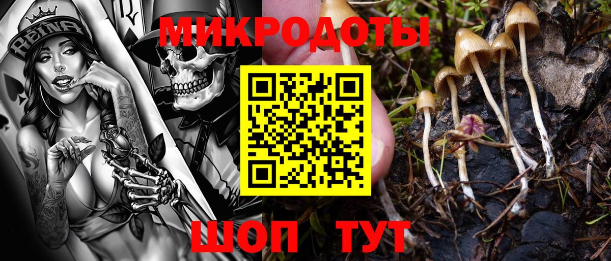 Галлюциногенные грибы ЛСД  Муравленко  дарнет шоп  Галлюциногенные грибы Psilocybe 