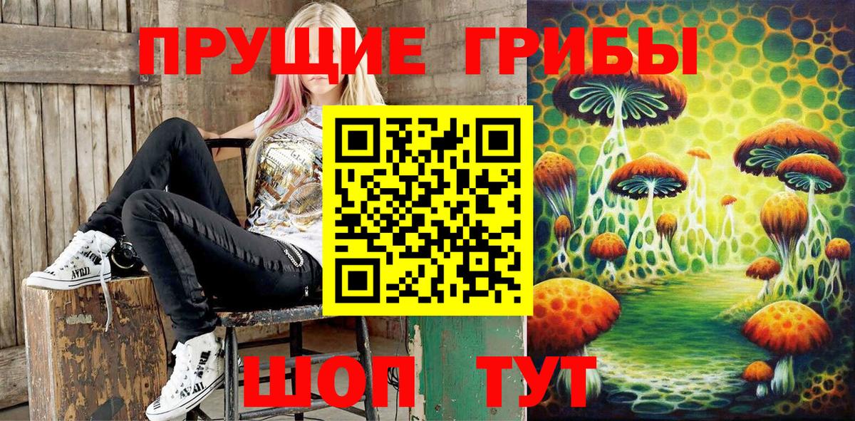 Муравленко  Псилоцибиновые грибы Psilocybine cubensis  Вход с VPN  Псилоцибиновые грибы Psilocybine cubensis 