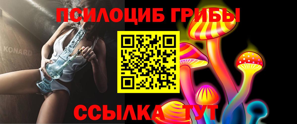 Галлюциногенные грибы Cubensis Муравленко